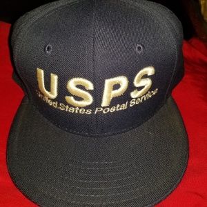 Accessories | Usps Fitted Hat | Poshmark